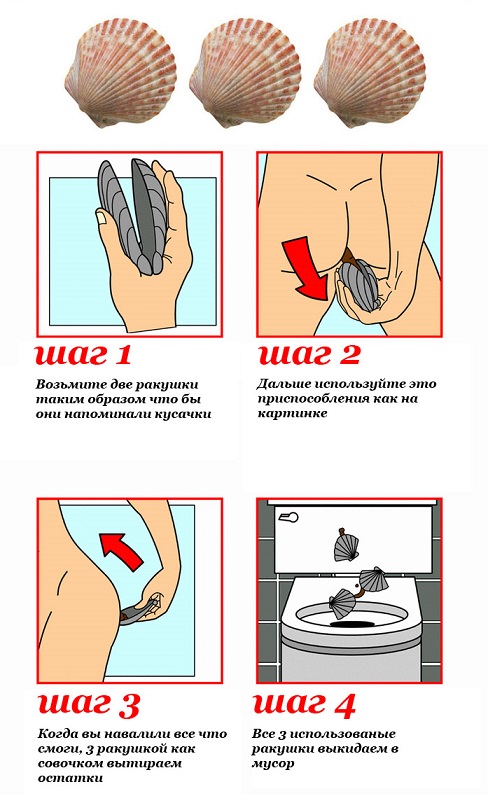 Борзые щенки
