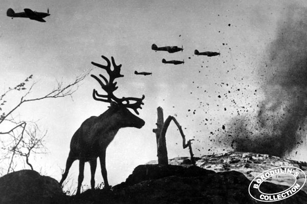1941 год. Боль и мужество. Фото.