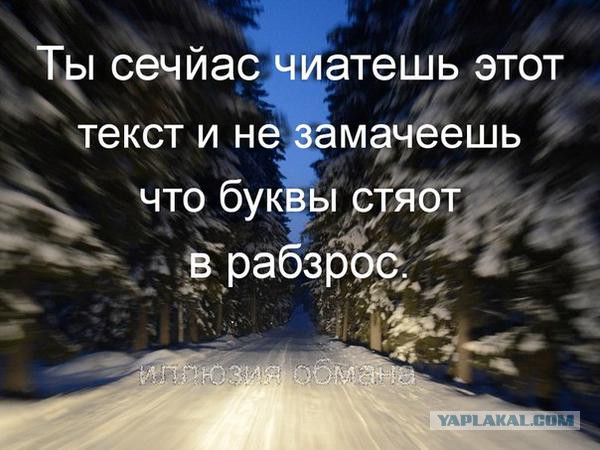 Весёлое из сети