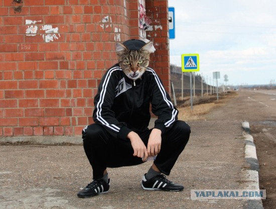Ты чего дерзкий такой?!
