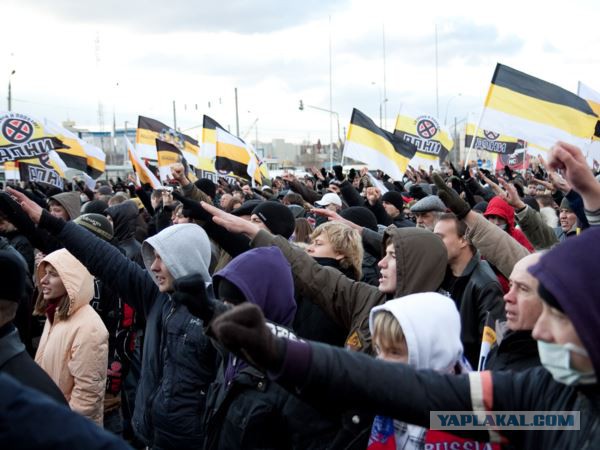 Украинскую молодежь научат Бандеру любить