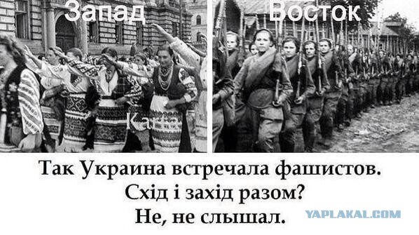 Вот такая мразь