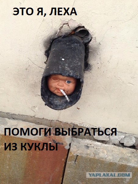 Ужасы и приколы из соцсетей 18+
