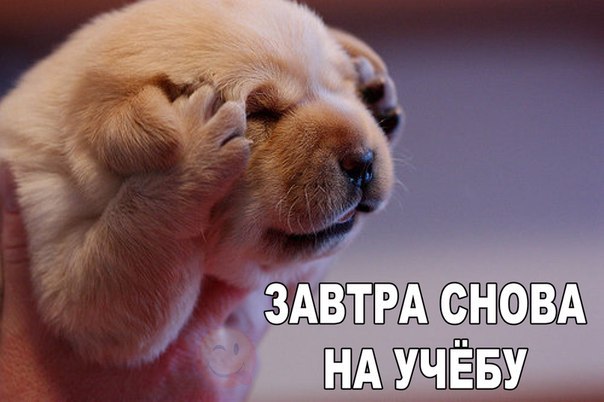 Картинки разные 2