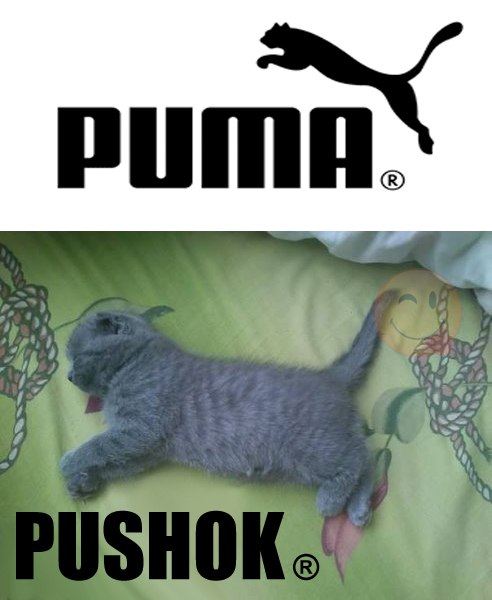 Картинки на утро вторника