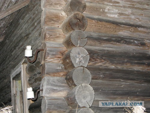 Веппский край, Южная тайга