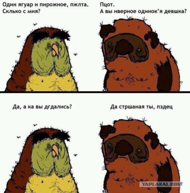Ужасы и приколы из соцсетей 18+