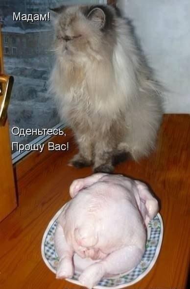 Картинки на пятницу
