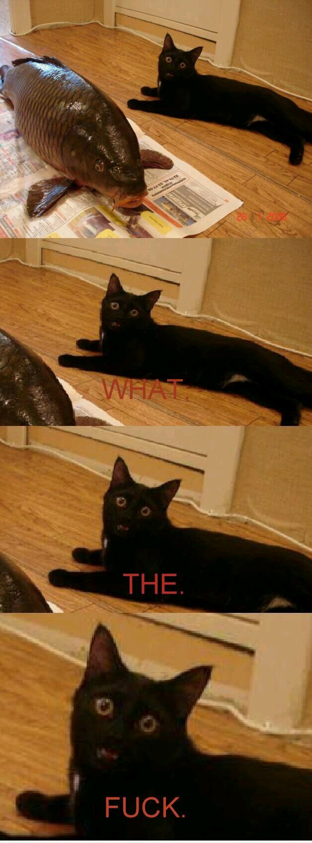 Абсурдный юмор ч.7