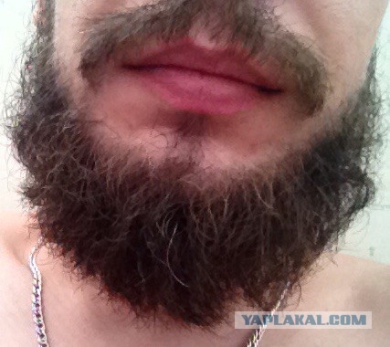 Насколько борода украшает мужчину