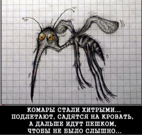 Бесит комар