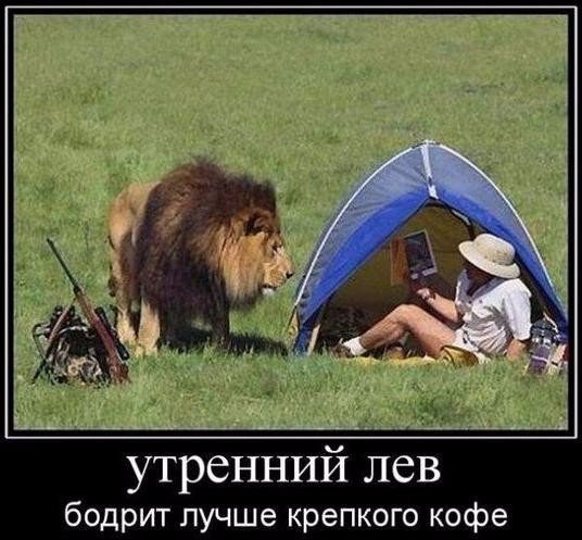 Интересные и веселые картинки