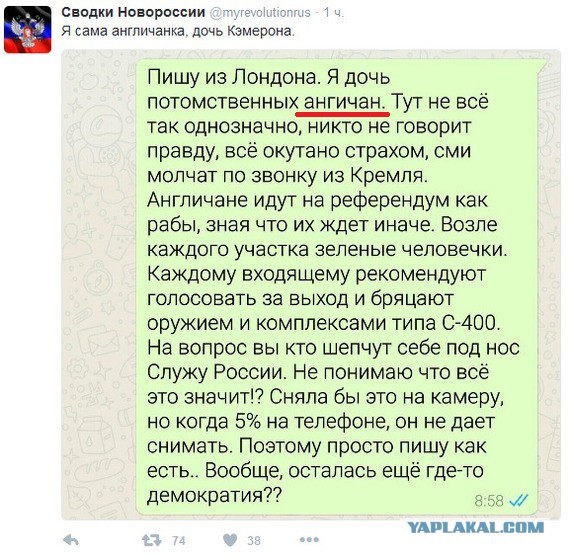 Референдум в Великобритании был сфальсифицирован!