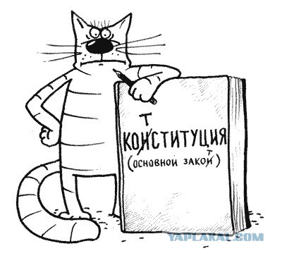 Конституция. Конституция? КОНСТИТУЦИЯ!