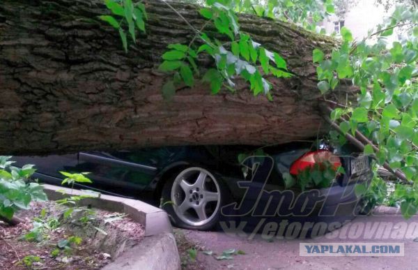 Тачки разбитые ураганом в Минске сегодня. Оригинальные отборные фото!