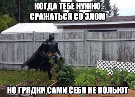 Порция картинок на пятницу