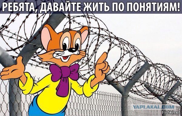 Почти 100 кандидатов в депутаты Госдумы оказались судимыми