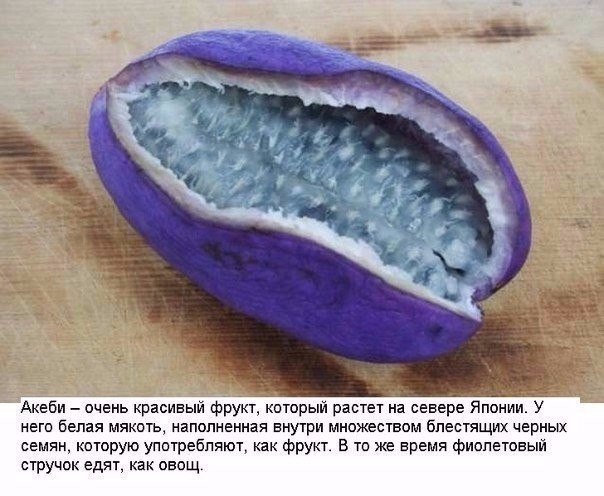 Подборка фото