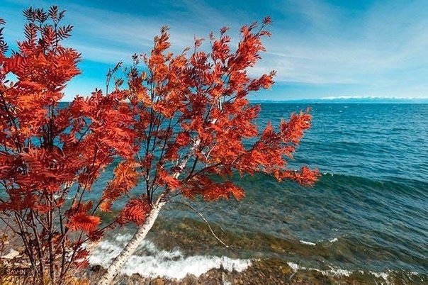 Разное картинки и т.д