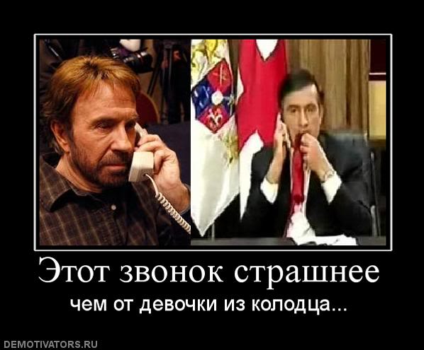 Звёзды шоу-бизнеса, поддержавшие Дональда Трампа на выборах.
