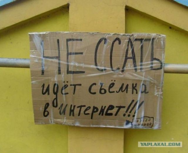 Ужасы и приколы из соцсетей 18+