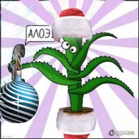 Яповцы, оновогоживайтесь!