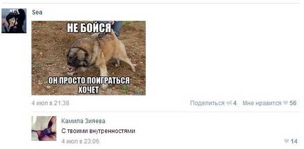 Смешные комментарии из социальных сетей