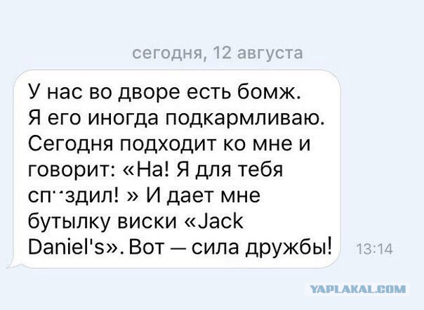 Смешные комментарии и высказывания из социальных сетей.