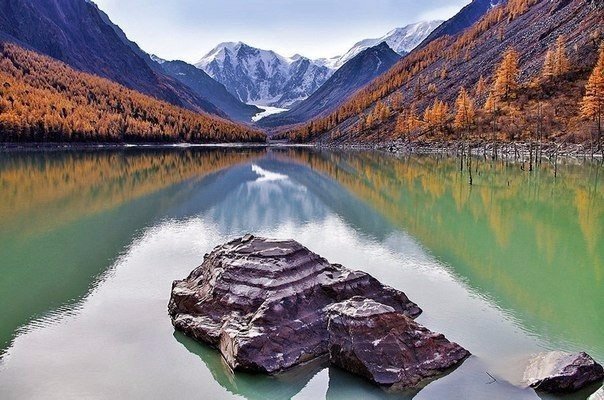 Моменты, запечатлённые на фото и просто позитив 5