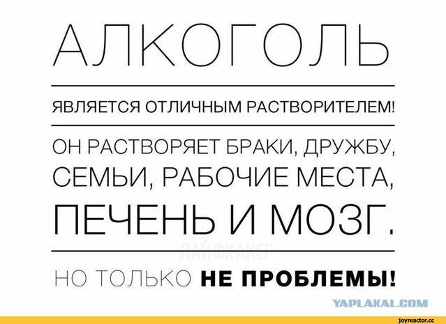 Звезды фильма «Особенности национальной рыбалки» тогда и сейчас