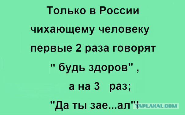 Смотрим и деградируем