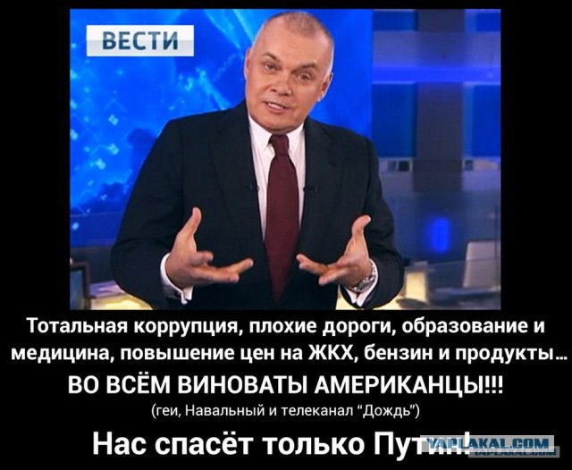 Здравствуйте, господин- барин, премьер Медведев!