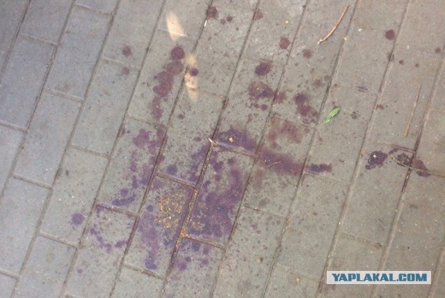 Обезумевшие бойцы ММА едва не убили скейтера в центре Воронежа