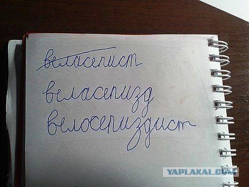Несколько веселых картинок