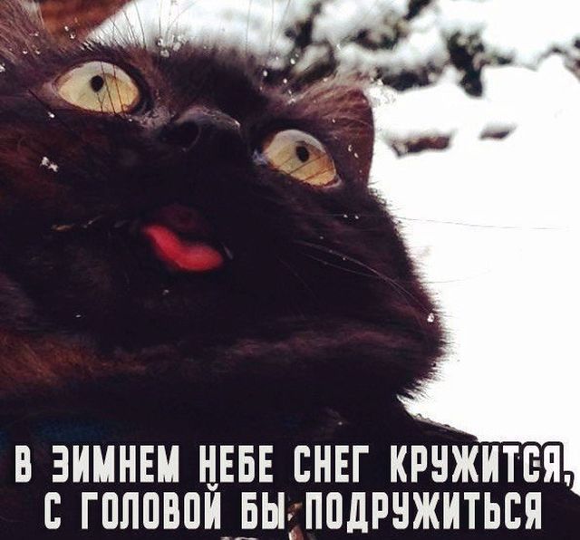Подборка интересных и веселых картинок