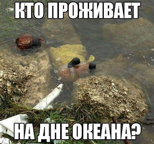 Нестандартный юмор