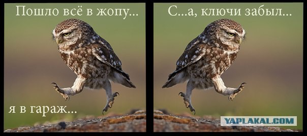 Вы бы стали покупать себе гараж?