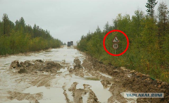 На все 100! Путину рассказали, как россиянам сэкономить на бензине