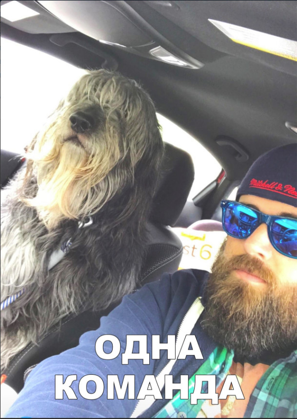 Милые животные. Мимиметр сломался