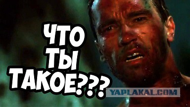 Поклонской хотят присвоить титул графини после отказа голосовать за пенсионную реформу