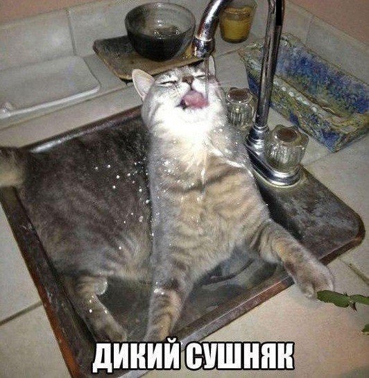Нестандартный юмор