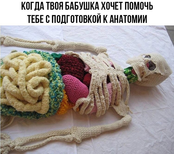 Анекдоты, соц-сети и картинки с надписями
