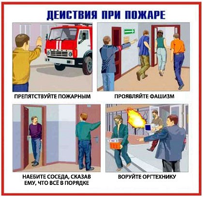 Куда катится жизнь