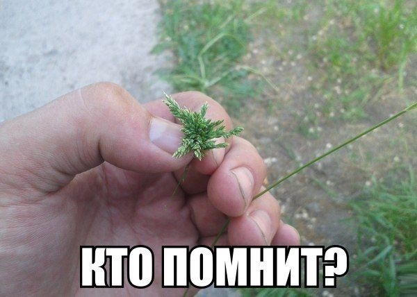 Подборка интересных и веселых картинок 07.05.19