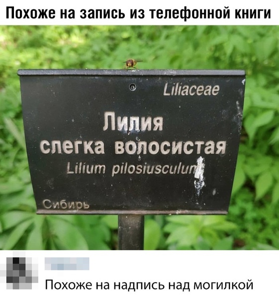 Сам не свой