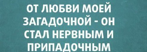 Картинки с надписями, истории и анекдоты