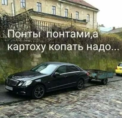 Картинки с надписями, истории и анекдоты 04.10.19