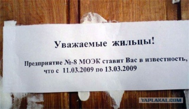 Перлы 17.02.20