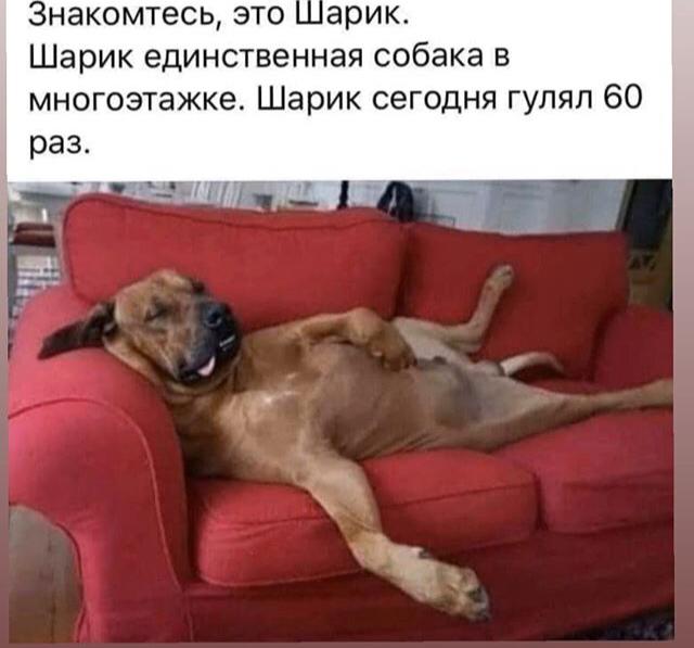 Пандемия. Коронавирус. Россия и мир. Последняя информация. Часть 11