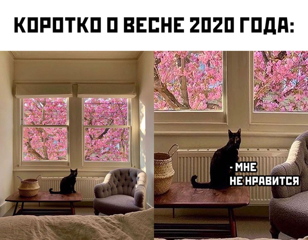 Немного картинок для настроения 13.04.20